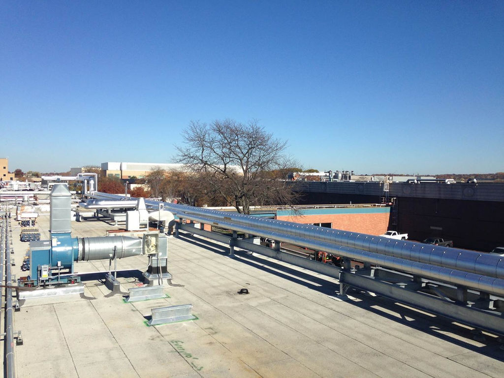Newly installed insulated steam lines on elevated supports at Merck West Point